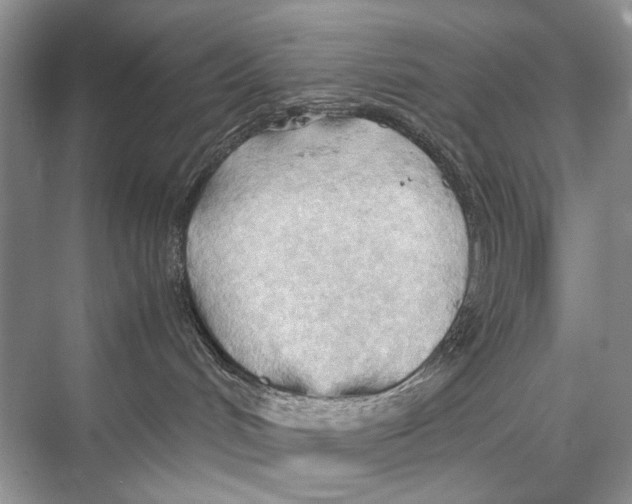 X0000067830048200605041635