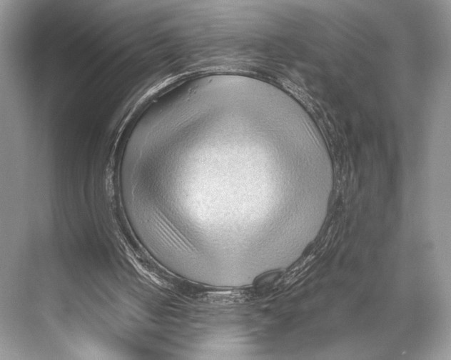 X0000067830050200605041634