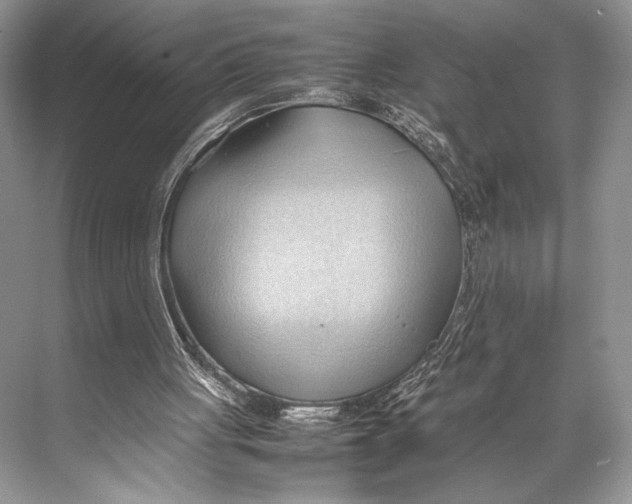 X0000067830051200605041634