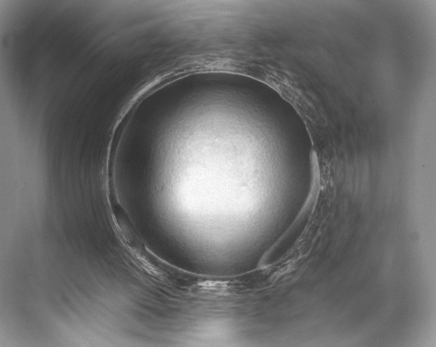 X0000067830052200605041634