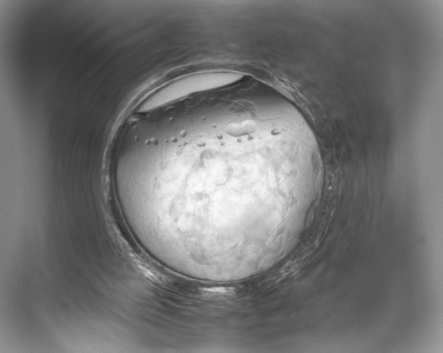 X0000067830053200605041634