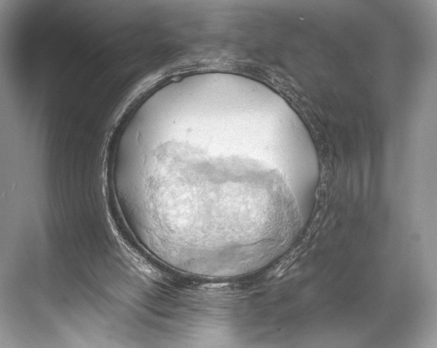 X0000067830054200605041634