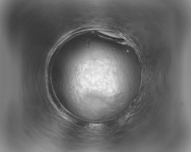 X0000067830055200605041634