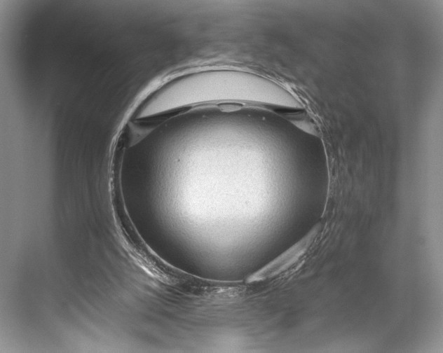 X0000067830056200605041634