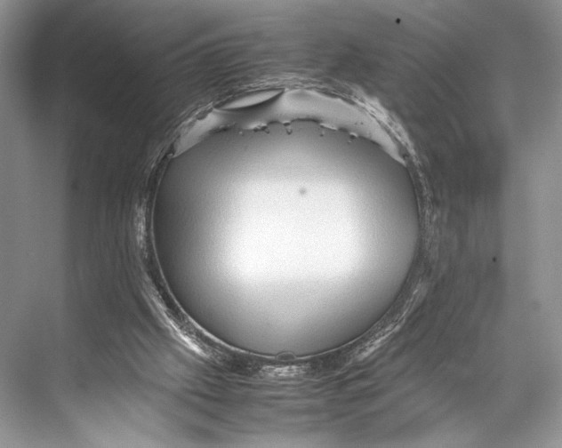 X0000067830057200605041634