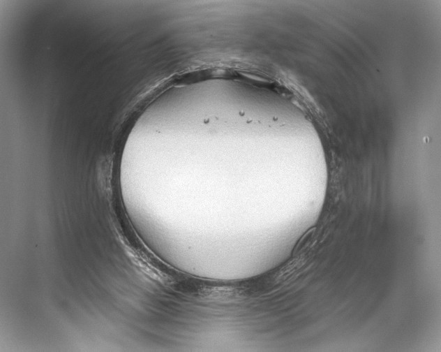 X0000067830058200605041634