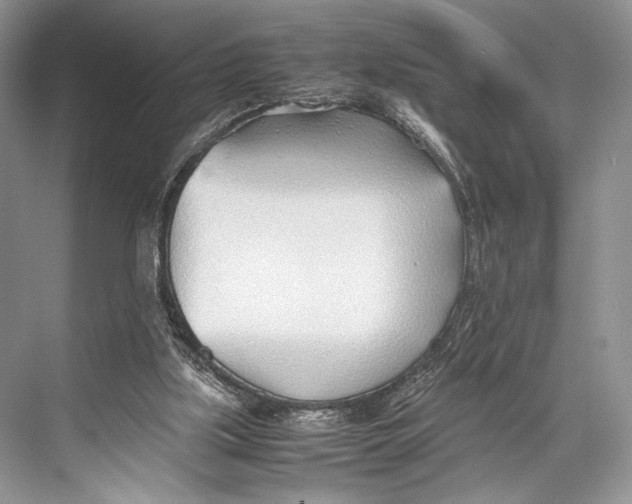 X0000067830059200605041634