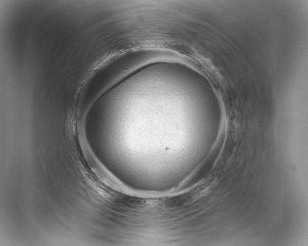 X0000067830060200605041634