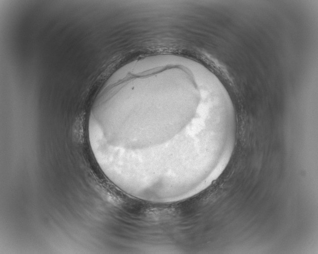 X0000067830065200605041634