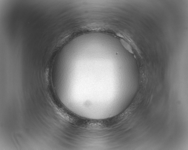 X0000067830066200605041634