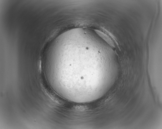 X0000067830067200605041634