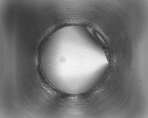 X0000067830068200605041634