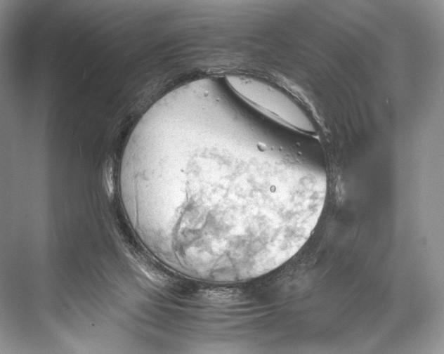 X0000067830069200605041634