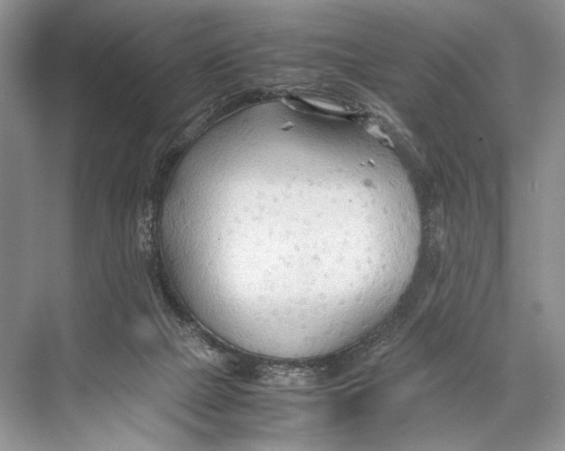 X0000067830073200605041634