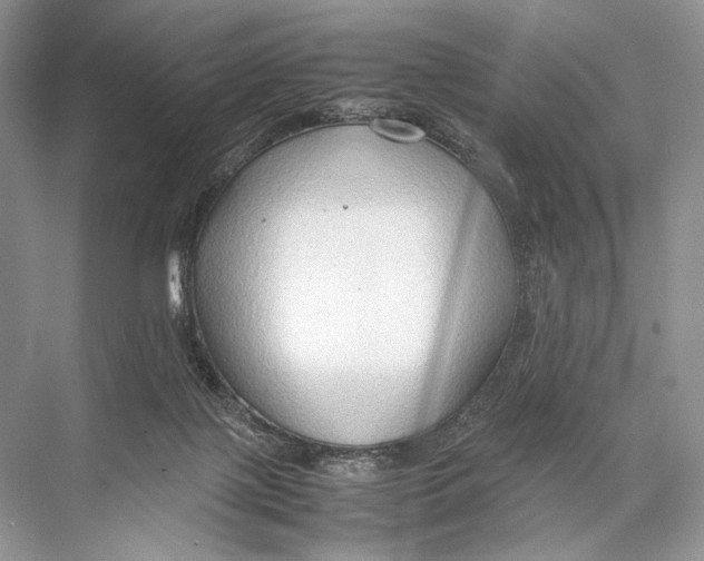 X0000067830075200605041634