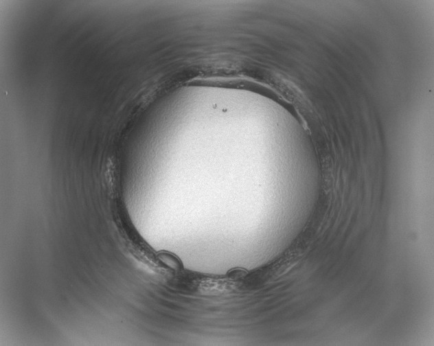 X0000067830077200605041634