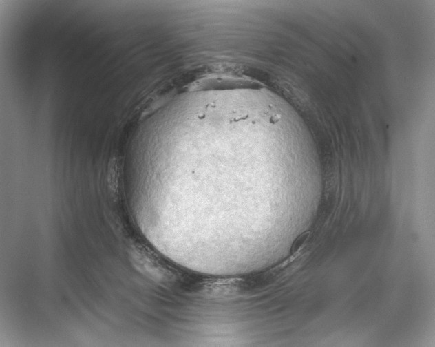 X0000067830078200605041634