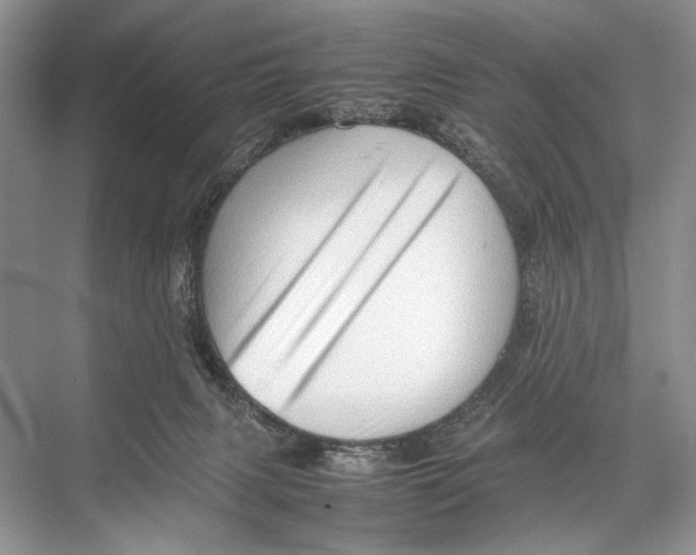 X0000067830079200605041634