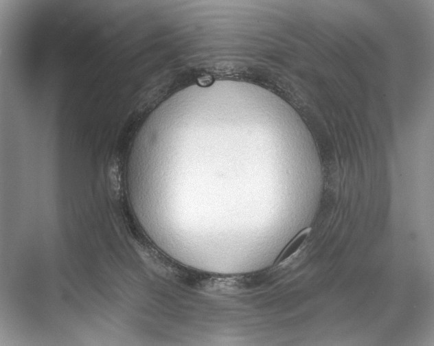 X0000067830086200605041634