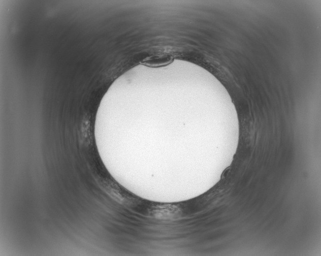 X0000067830087200605041634