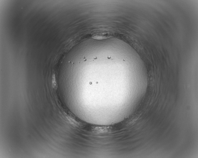 X0000067830089200605041634