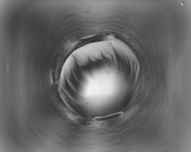 X0000067830096200605041635