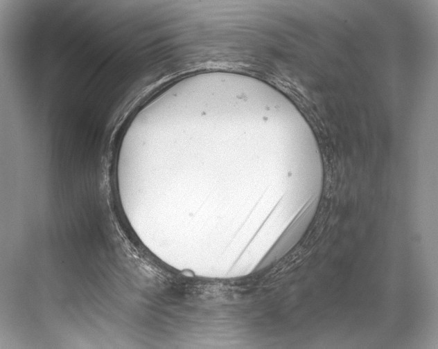 X0000067830098200605041634