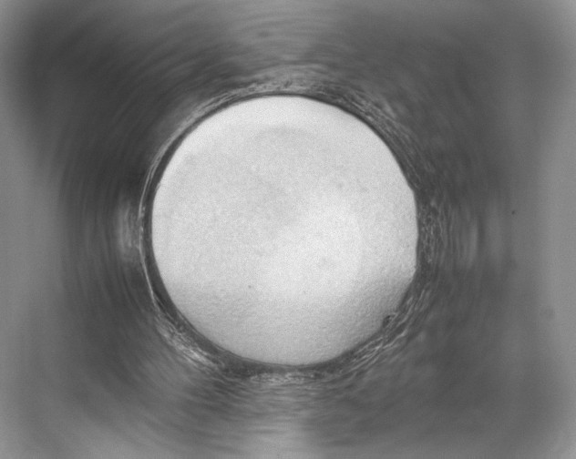 X0000067830100200605041634