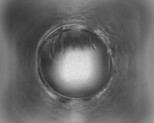 X0000067830101200605041634