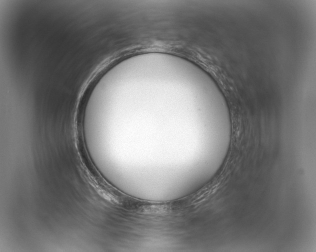 X0000067830102200605041634