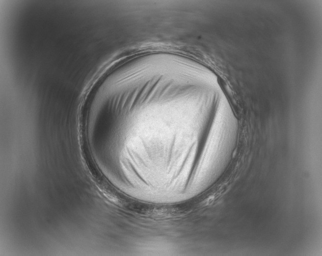 X0000067830103200605041634