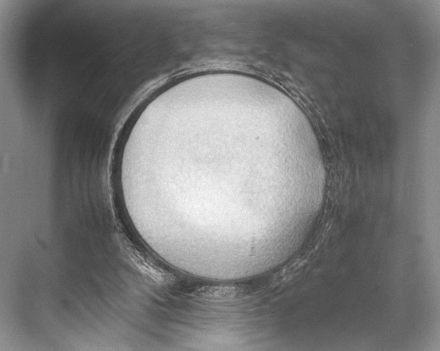 X0000067830104200605041634