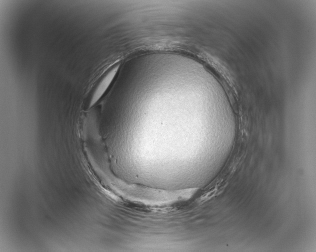 X0000067830105200605041634