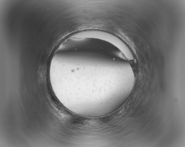 X0000067830107200605041634