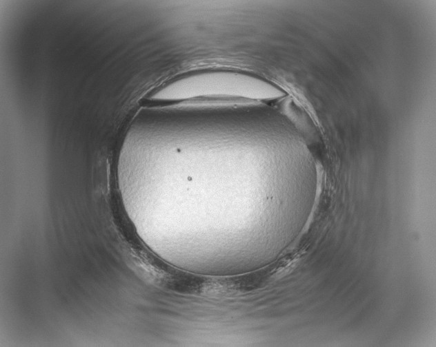 X0000067830109200605041634