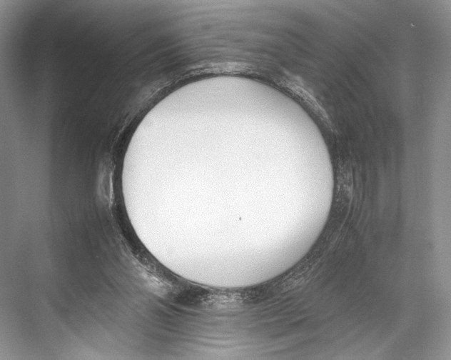 X0000067830110200605041634