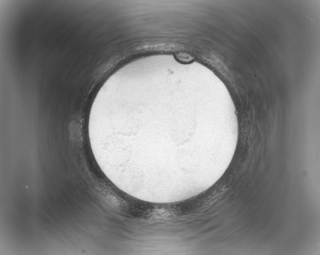 X0000067830111200605041634