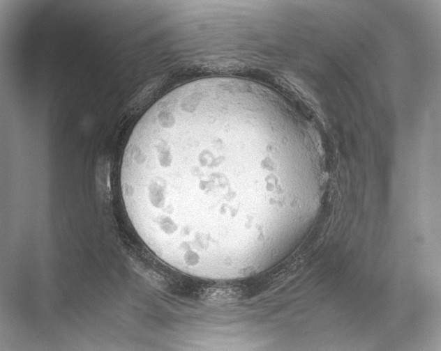 X0000067830115200605041633