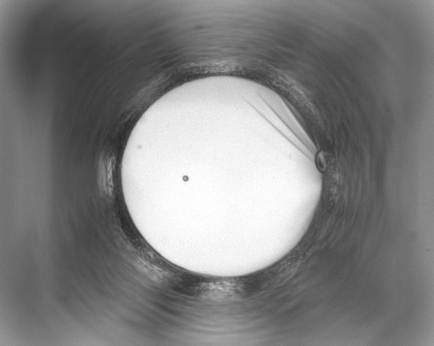 X0000067830118200605041633