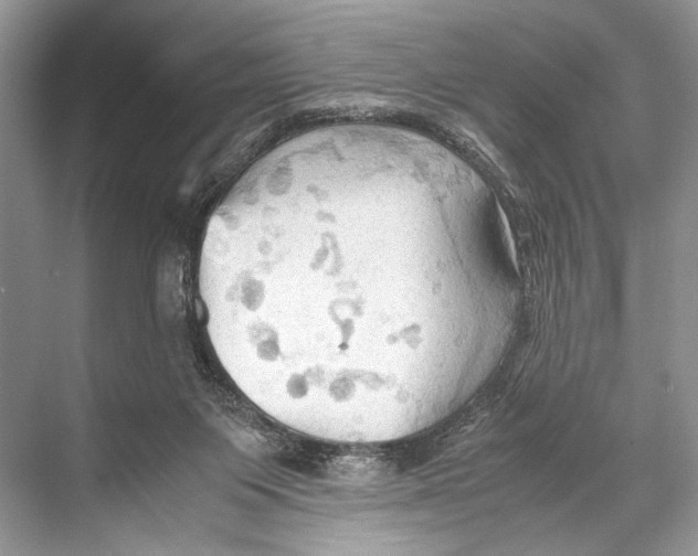 X0000067830119200605041633