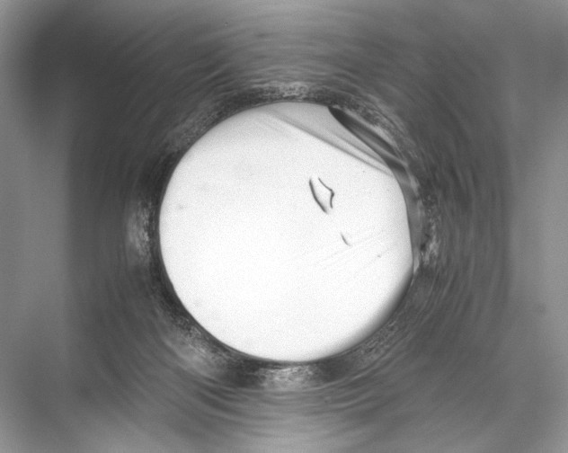 X0000067830122200605041633