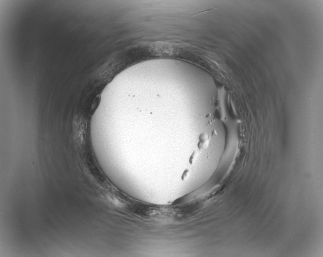 X0000067830125200605041633