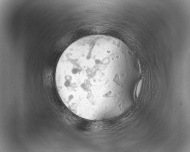 X0000067830127200605041633