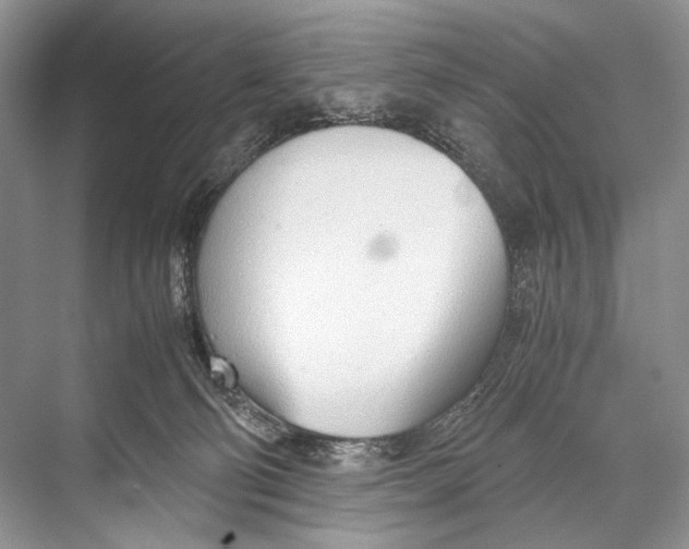 X0000067830130200605041633