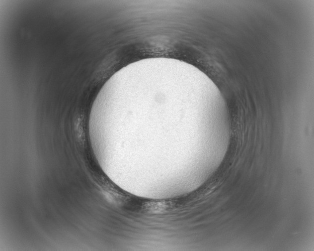 X0000067830131200605041633