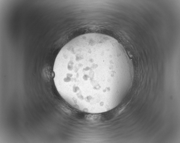 X0000067830135200605041633