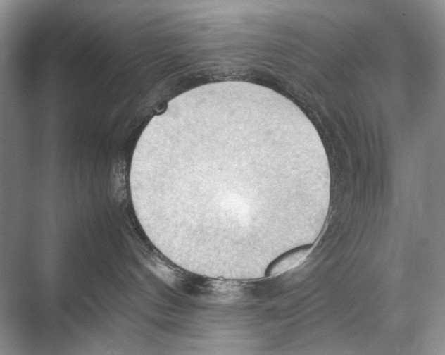 X0000067830144200605041633