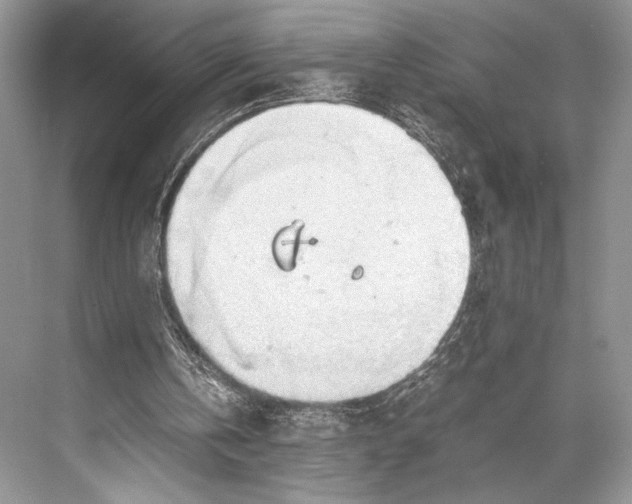 X0000067830146200605041632