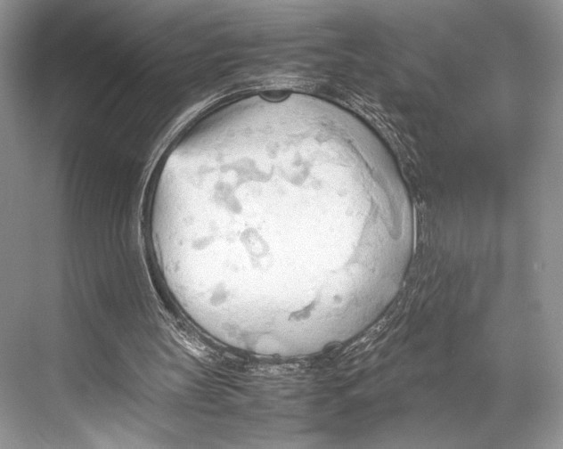 X0000067830147200605041632