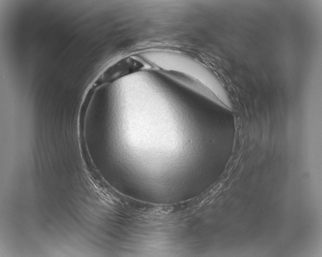 X0000067830148200605041632